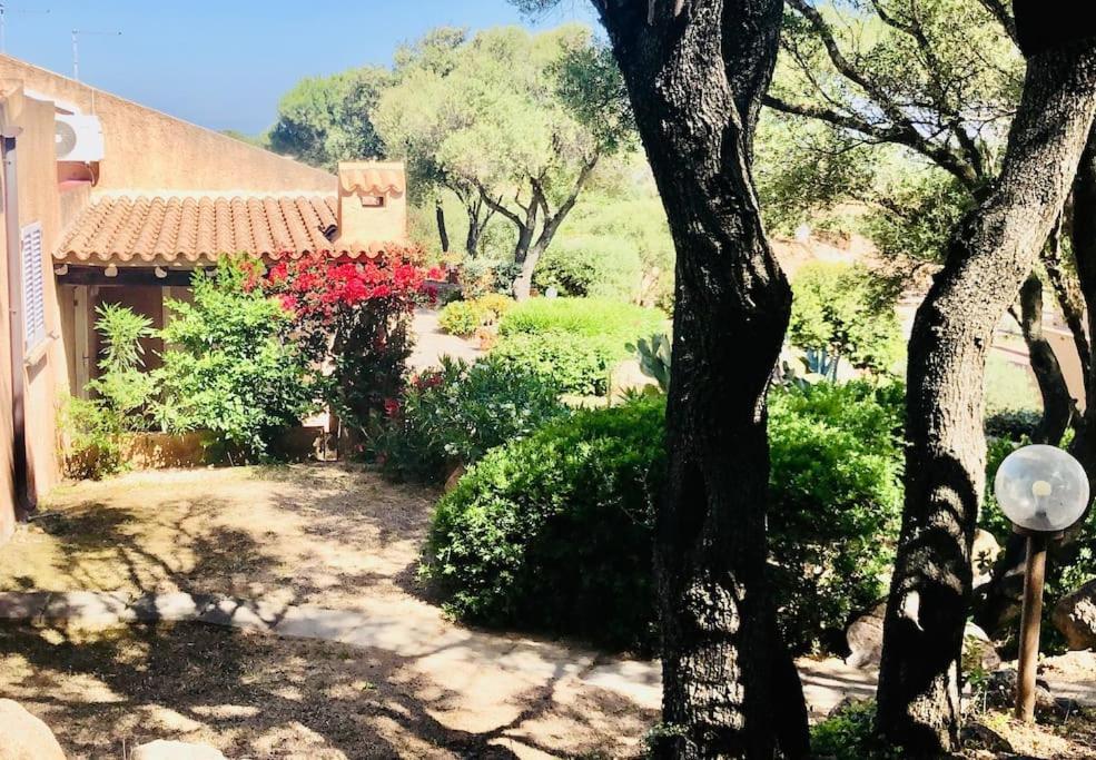 Villa Acqua & Sale Casa Stazzo à Palau Extérieur photo